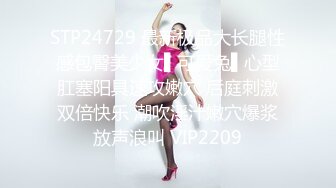 2023-6-26新流出酒店偷拍 新台年轻小伙抽着烟后入女友