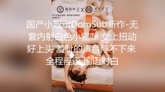 国产小奴隶DomSub新作-无套内射白色小猫咪 女上扭动好上头 羞耻的声音停不下来 全程淫语 国语对白