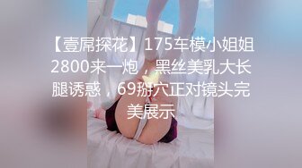 【壹屌探花】175车模小姐姐2800来一炮，黑丝美乳大长腿诱惑，69掰穴正对镜头完美展示