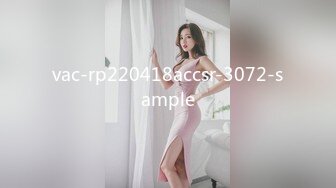 vac-rp220418accsr-3072-sample