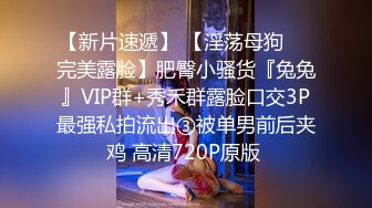 风吟鸟唱大神3P粉丝的漂亮老婆 被调教的非常听话