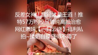 【锤子探花】2600约操高端外围，超近视角深喉