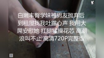 (中集) 淫荡大叔酒店激情：性感装备 轮番上阵 变态搞笑