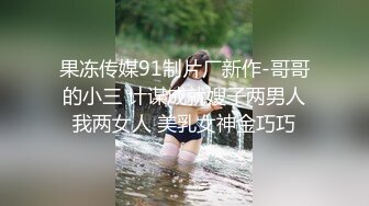 绝对领域 LY-010 小姨子与我的乱伦之恋