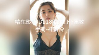 后入176极品D奶长腿模特