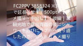 FC2PPV 3858324 ※30日まで延長します！500pt※【ハメ撮り・中出し】［後編］某観光地で露出青姦の後にシャワーを浴びにラブホへ寄り道したので、しっかりハメ撮り