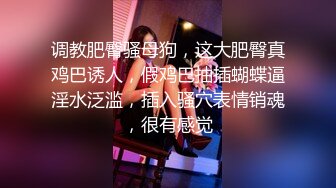 【精品推荐】Transexjapan中国TS『masem小乐』岛国拍摄系列超清原版14部合集 (12)