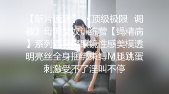 淑女轻少妇