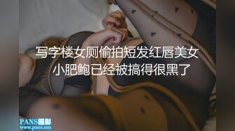 游乐场女厕两次拍到极品少妇的丰满大肥鲍 (1)