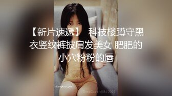 成都小情人第三部后入