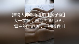 我的小骚货2