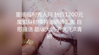 星之迟迟 2023年12月计划C – 明日奈同人女仆