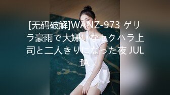 后入95年小女友D~