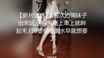 另一只巨乳骚母狗，嘴上说着不要下面却流了很多水