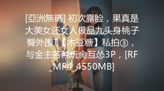 如此佳人 值得试驾 婕咪-日租女友遊樂趣[212P+2V/1.4G]