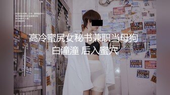 LJ极品地铁高清CD系列20部合集 (17)