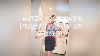 风情乳娘手感如酸奶般美味的乳房，软软又饱满的大胸