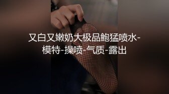 商场女厕全景偷拍高跟制服少妇的极品大黑鲍