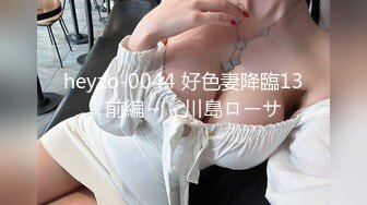 heyzo-0044 好色妻降臨13～前編～ - 川島ローサ